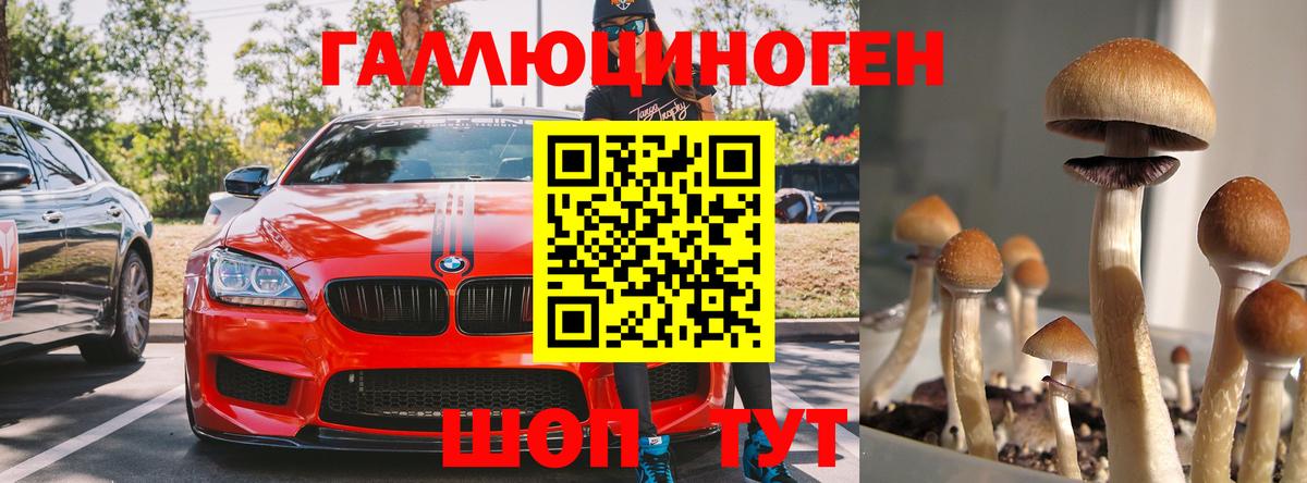 Галлюциногенные грибы прущие грибы Вичуга